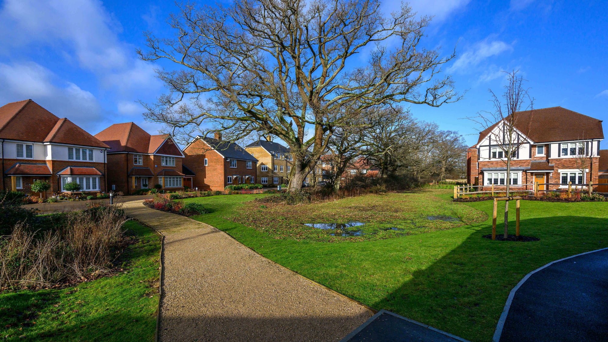 Leighwood Fields, 10/11