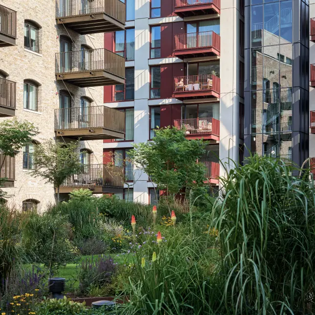 The Brentford Project — 8/13