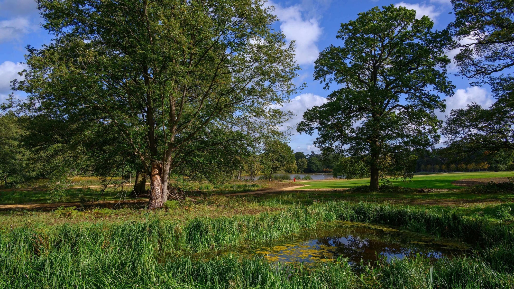Trent Park, 8/12