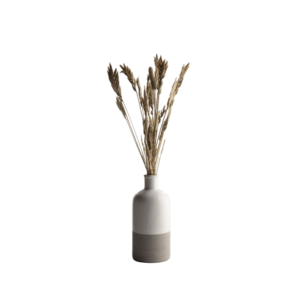 Interior Vase