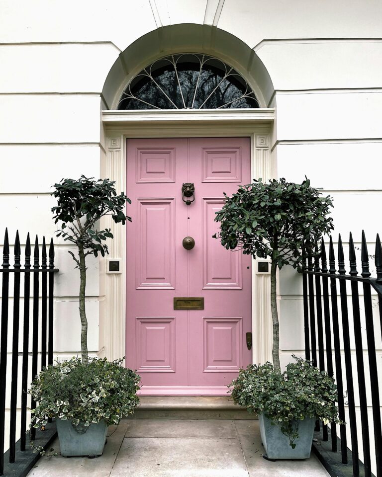 Pink door with decorative facade and potted plants in London street scene.
