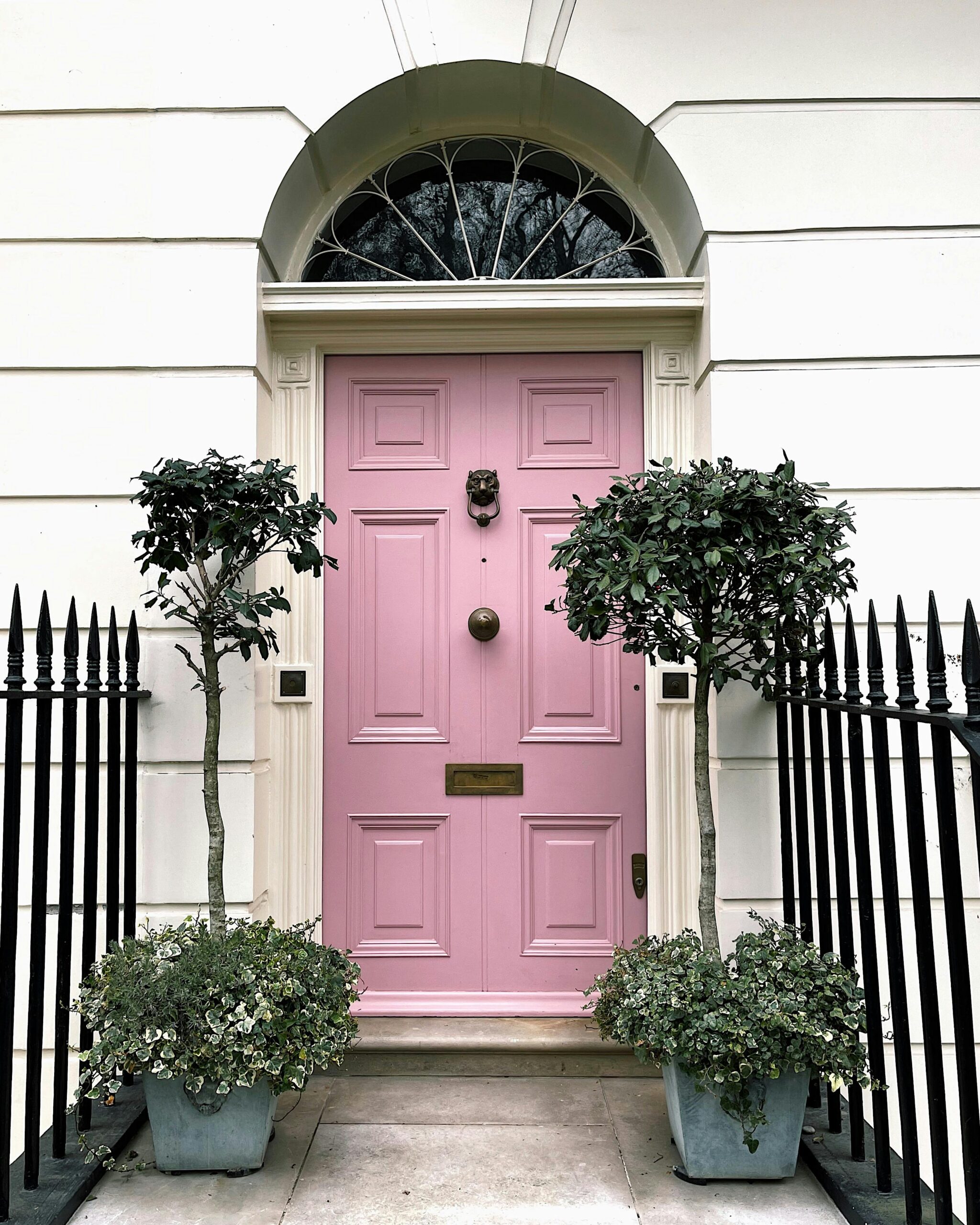 Pink door with decorative facade and potted plants in London street scene.